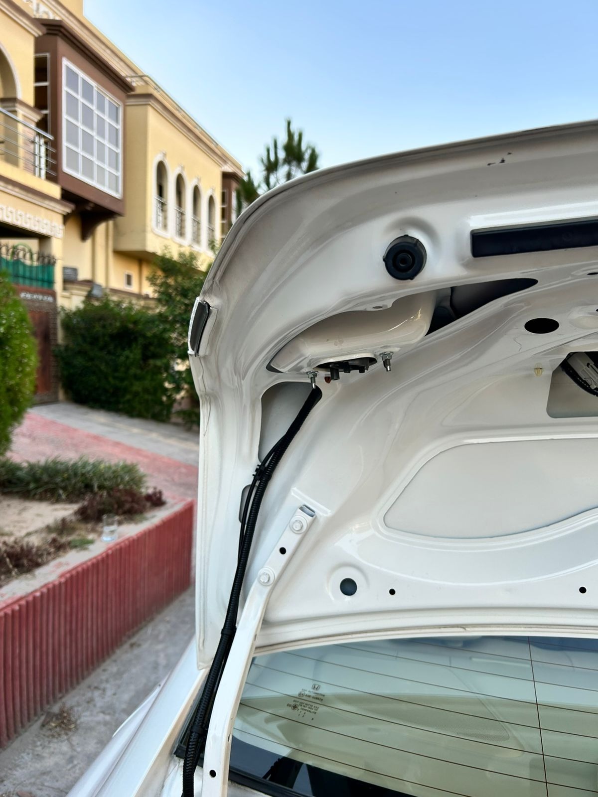 Additional Photo 12